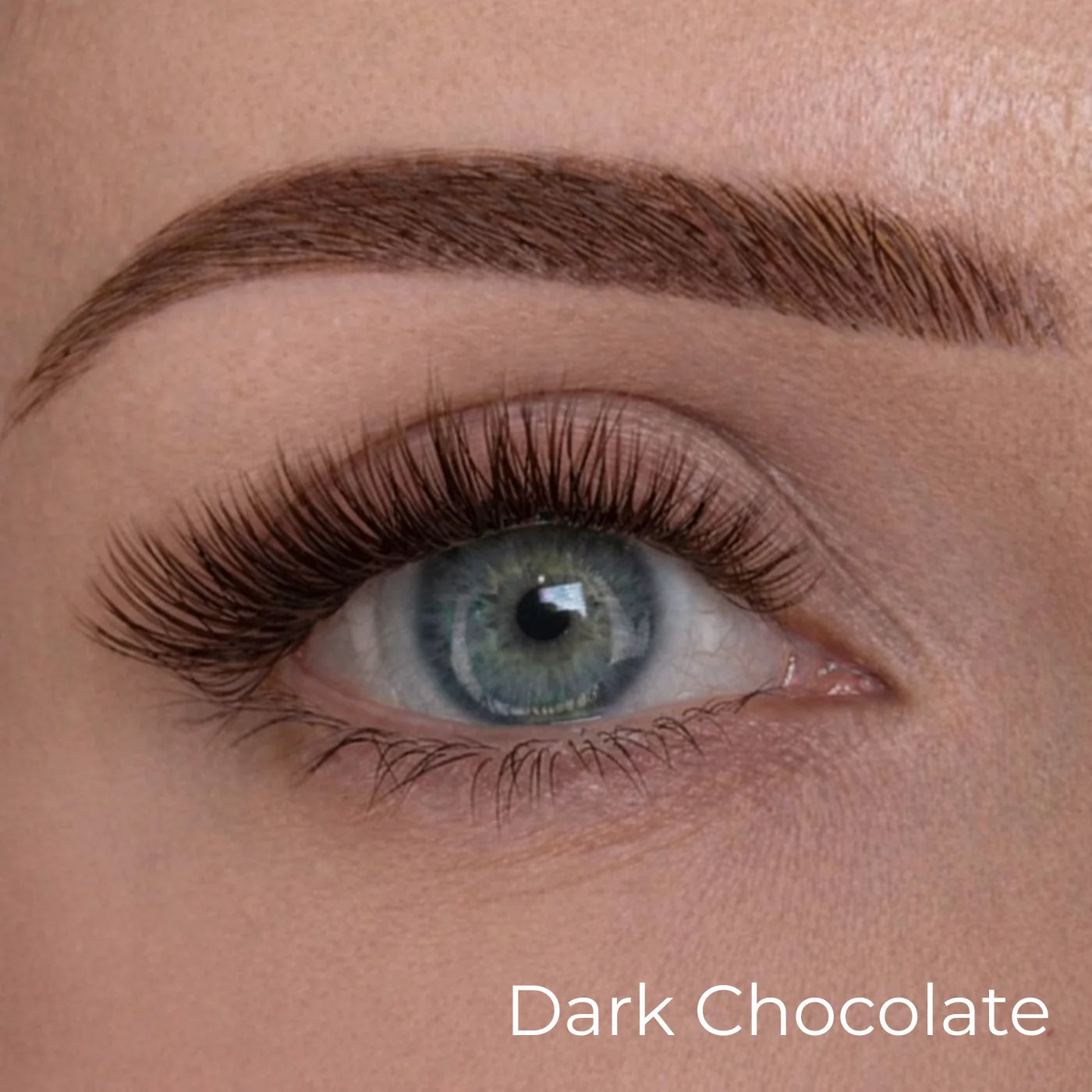 dark chocolate
