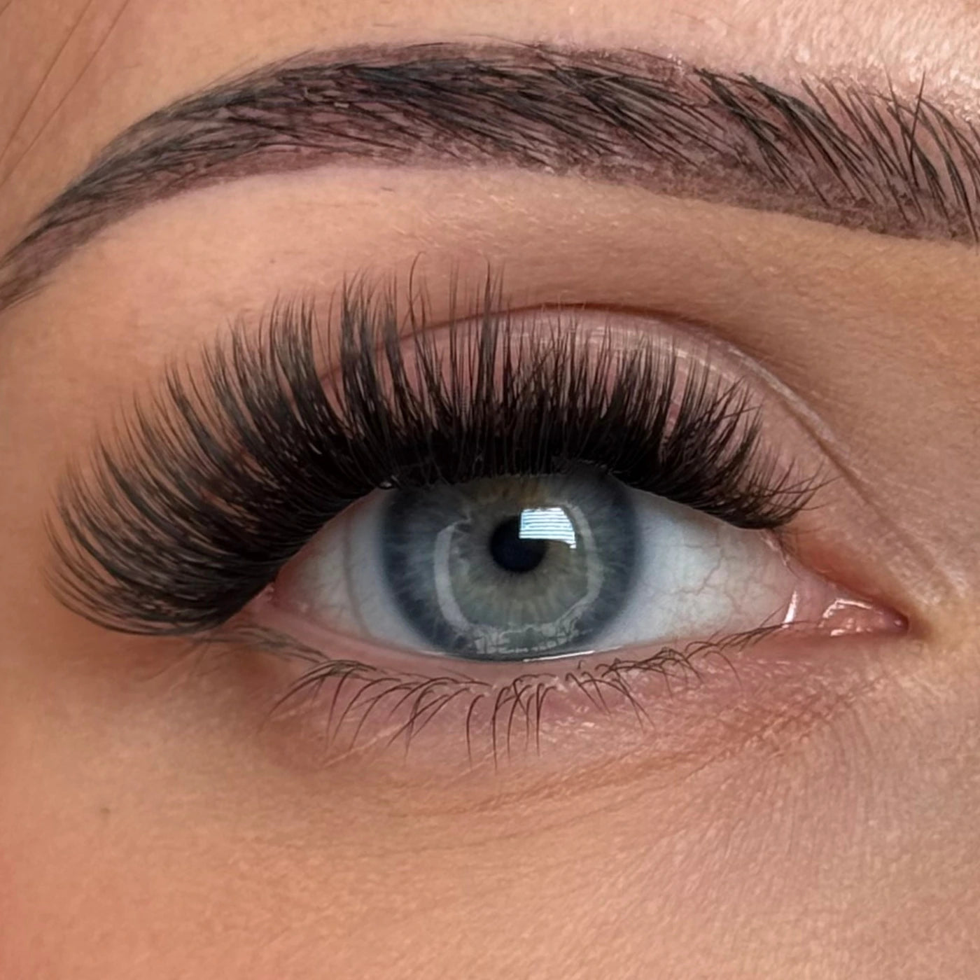 Elov 1Step Lashes™ - Kit completo Extension Ciglia Adesive in seta PBT