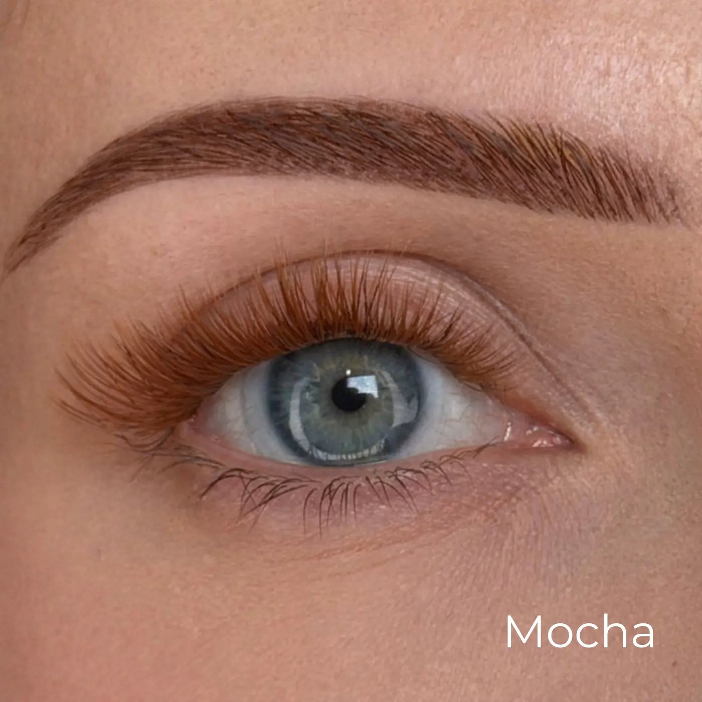 mocha