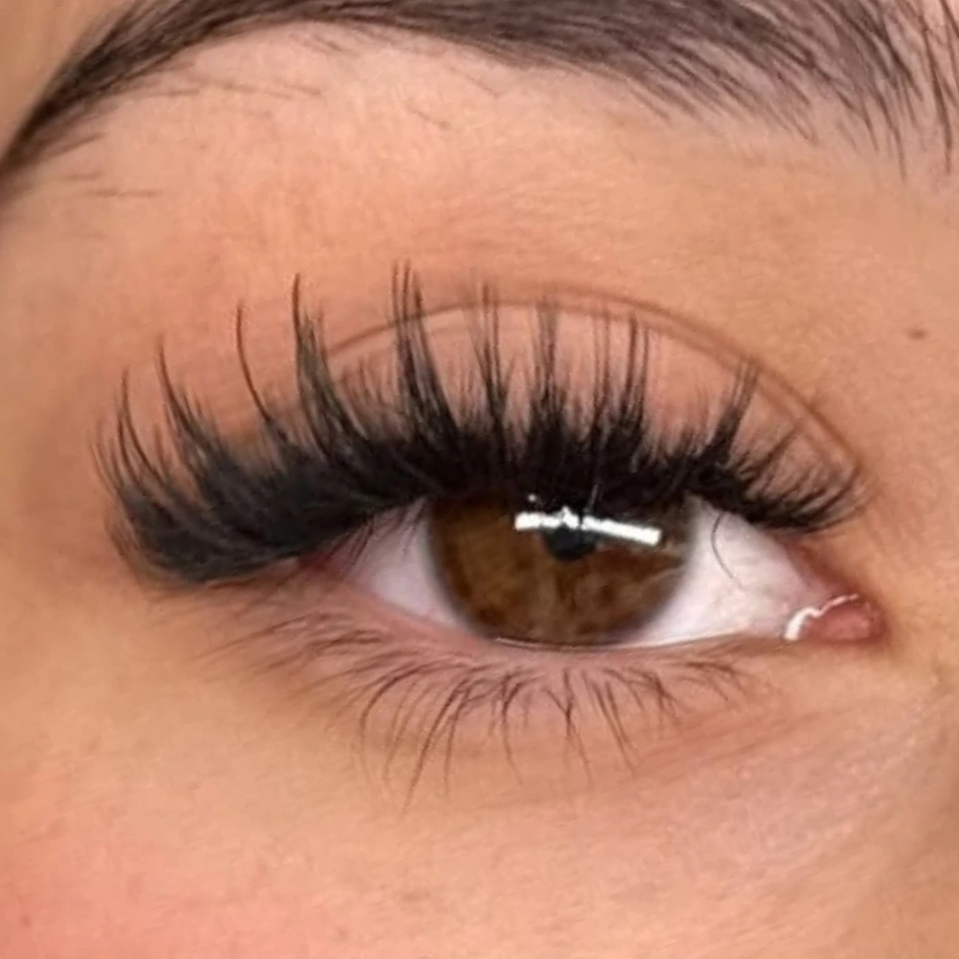Elov 1Step Lashes™ - Kit completo Extension Ciglia Adesive in seta PBT